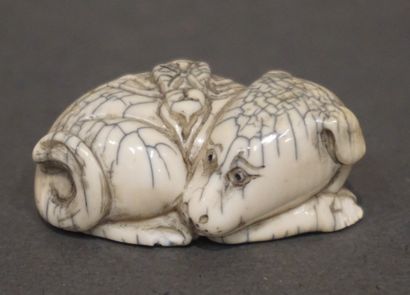 null Netsuke: "Chien et insecte". 2 cm