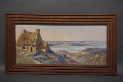F.HABERKOAN (XX°) "Côte bretonne", huile sur panneau, sbd. 29x63 cm