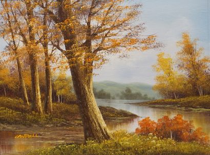 CANTRELL "Autumn landscape", oil on canvas, sbg. 31x41 cm