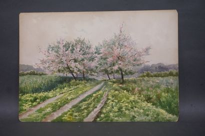 null Paire d'aquarelles début XXe: "Paysages". 38x54 cm