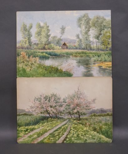 null Pair of watercolors early XXth: "Landscapes". 38x54 cm