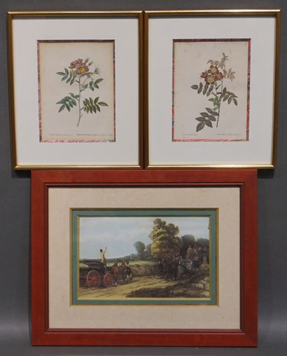 null Three engravings: "English carriages" and "Roses" (19x14 cm).