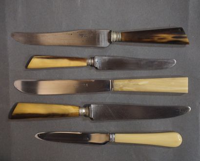 null Knife set, fish fork and leg of lamb cutlery.