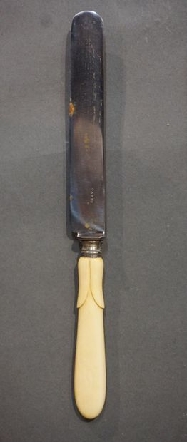 null Douze grands couteaux à manches ivoire et lames métal (fentes).