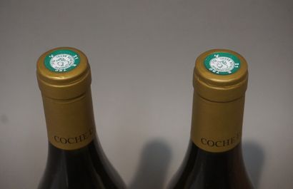 null 2 bottles PULIGNY-MONTRACHET "Les Enseignères", Coche-Dury 2017