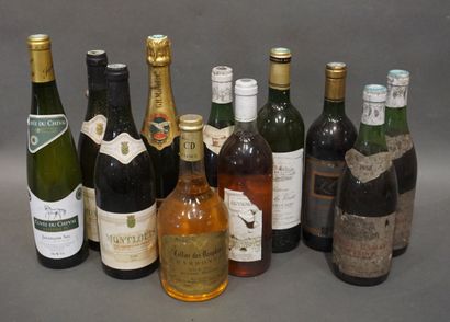 Manette de vins et champagnes divers, Jurançon,...
