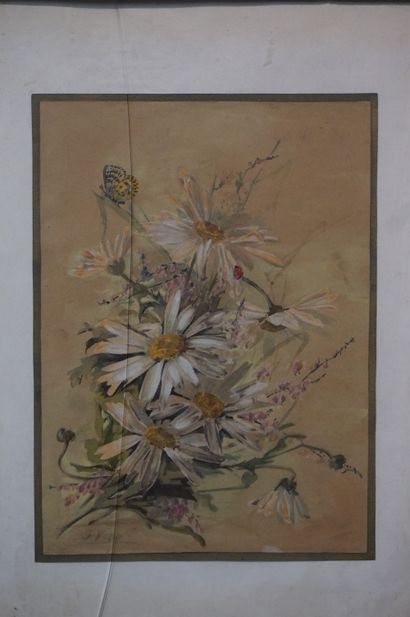 null Paire d'aquarelles: "Fleurs et insectes", sbg. 25x18 cm