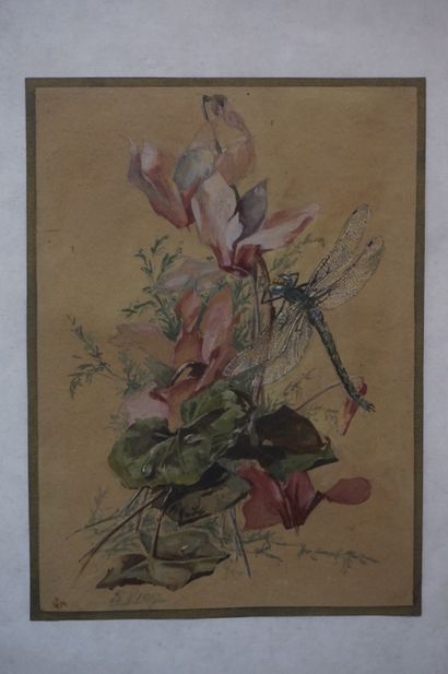 null Paire d'aquarelles: "Fleurs et insectes", sbg. 25x18 cm