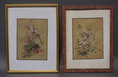 null Pair of watercolors: "Flowers and insects", sbg. 25x18 cm
