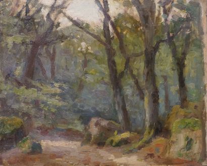 Henri-Bernard CALVET (1868-1950) "Forêt de Fontainebleau", huile sur panneau, sbg....