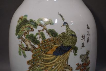 null Grand vase en porcelaine chinoise blanche à décor de paon et de calligraphies....