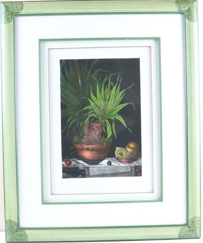 null Michel ESTEBE (born in 1954).

Yucca.

Colour print, signed and dated 1994,...