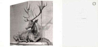 null Janine JANET (1913-2000) projet de vitrine pour BALENCIAGA, 1958. 

Le cerf...