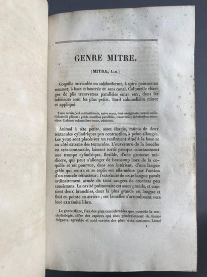 null KIENER, Louis-Charles.

Species général et iconographie des Coquilles vivantes,...