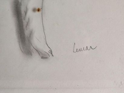 null Marcel LEMAR (1892-1941).

Portrait de chien.

Crayon et rehauts d'aquarelle...