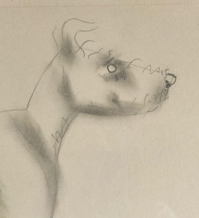 null Marcel LEMAR (1892-1941).

Portrait de chien.

Crayon et rehauts d'aquarelle...