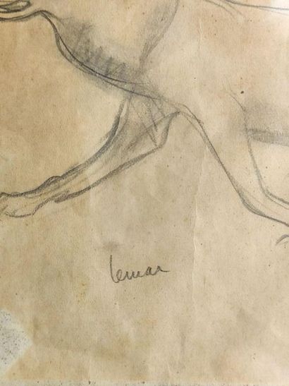 null Marcel LEMAR (1892-1941).

Chien-loup de profil.

Crayon et rehauts d'aquarelle...