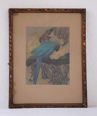 null Jean-Francis AUBURTIN (1866-1930).

Ara.

Aquarelle et gouache sur papier, monogrammée,...