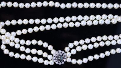 null Collier de trois rangs de perles de culture japonaises Akoia en chute, le fermoir...