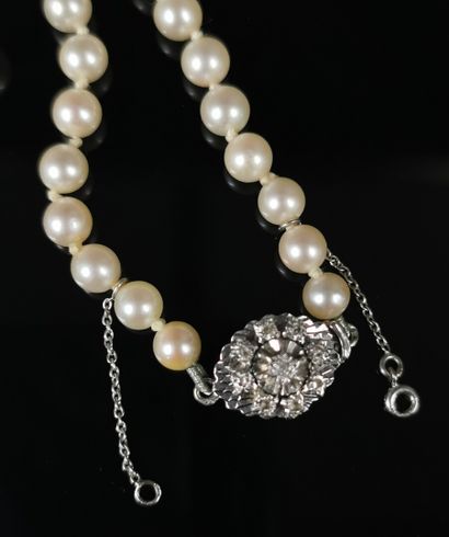 null Collier de perles de culture, le fermoir en or gris et diamants.

L_56 cm.

Poids...
