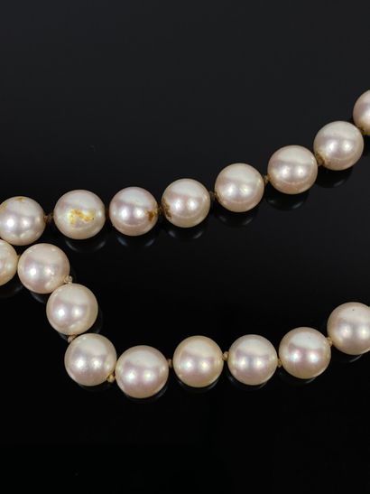 null Collier de perles de culture, sans fermoir.

L_39,5 cm (fermé). D_0,7 cm, pour...