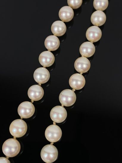 null Collier de perles de culture, le fermoir en or jaune orné de perles.

L_47 cm....