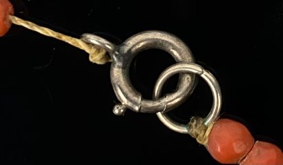 null Collier en perles de corail.

Fin du XIXème siècle.

L_34,5 cm