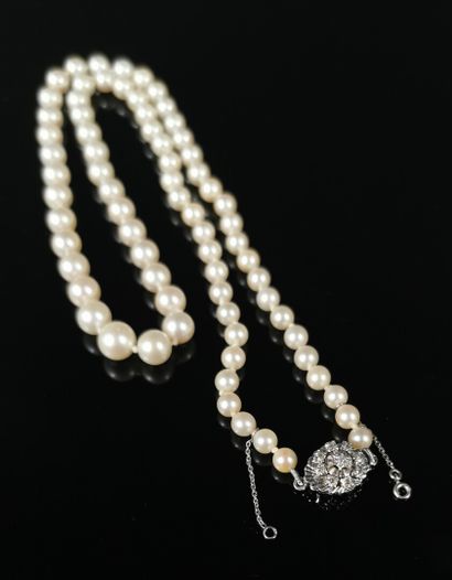 null Collier de perles de culture, le fermoir en or gris et diamants.

L_56 cm.

Poids...