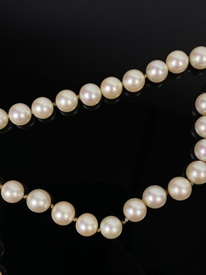 null Collier de perles de culture, sans fermoir.

L_39,5 cm (fermé). D_0,7 cm, pour...