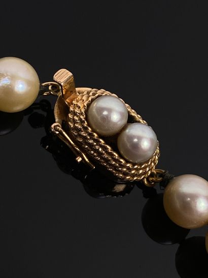 null Collier de perles de culture, le fermoir en or jaune orné de perles.

L_47 cm....