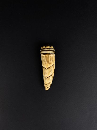 null JAPON, XIXème siècle.

Netsuke en ivoire figurant une pomme de pin.

L_7,5 ...