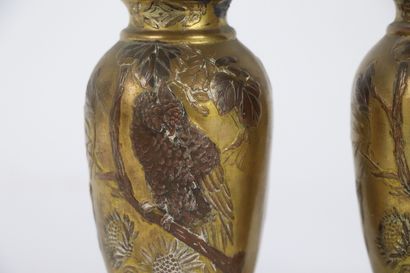 null JAPON, période Meiji (1868-1912).

Paire de vases en bronze partiellement patiné...