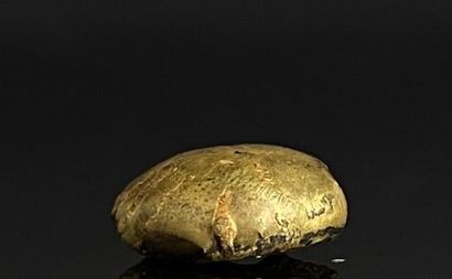 null Pépite d'or.

2,96 grammes, 18K, 750°/00