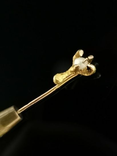 null Epingle à cravate en or jaune à décor d'une serre d'aigle tenant une perle.

L_6,5...