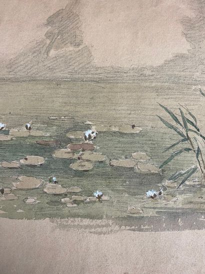 null French school of the 19th century.

The water lilies.

Pencil and watercolor...