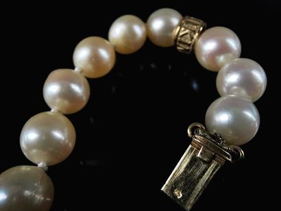 null MIKIMOTO.

Collier de perles de culture et or jaune, le fermoir orné de saphirs.

L_42,5...