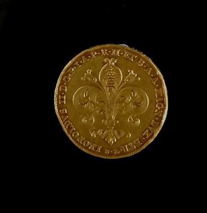 null PIèce en or jaune de 80 florins, Léopold II, 1828

32,61 grammes