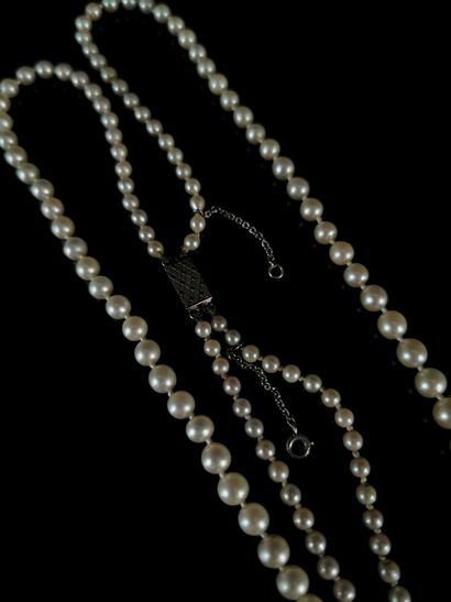 null Necklace with double row of cultured pearls, yellow gold clasp with safety chain....