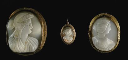 null Two shell cameos decorated with women in profile, the mounts in pompom forming...