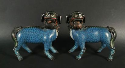 null CHINE.

Paire de chiens de Phö en bronze et émaux cloisonnés polychrome.

H_...