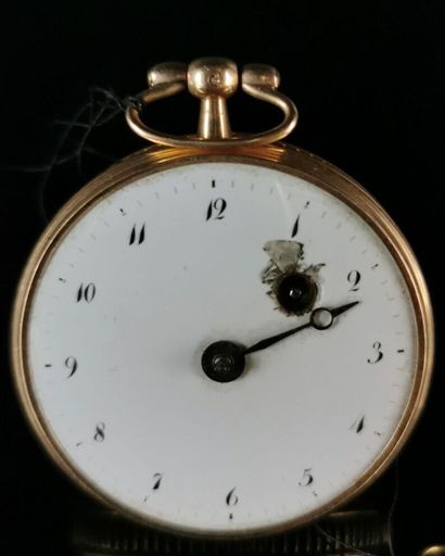 null ARDIOT in Paris.

Pocket watch with cock, in gold.

The reverse side decorated...