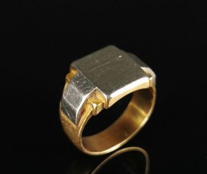 null Yellow gold and white gold unengraved man Chevalière.

Finger size 54.5.

11.46...