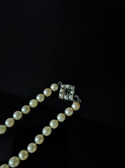 null Collier de perles de culture, le fermoir en or gris.

L_ 52.3 cm.

Diamètre...