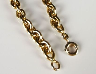 null Necklace with mesh forçat in yellow gold, the links of increasing size.

L_44...
