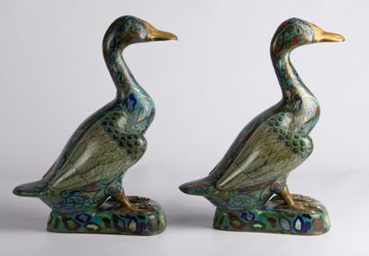 null CHINE, fin de la dynastie Qing (1644-1912).

Paire de canards en bronze et émaux...