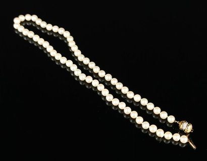 null Collier de perles de culture, le fermoir en or et diamants.

L_ 47 cm. 

Diamètre...