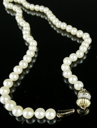 null Collier de perles de culture, le fermoir en or et diamants.

L_ 47 cm. 

Diamètre...