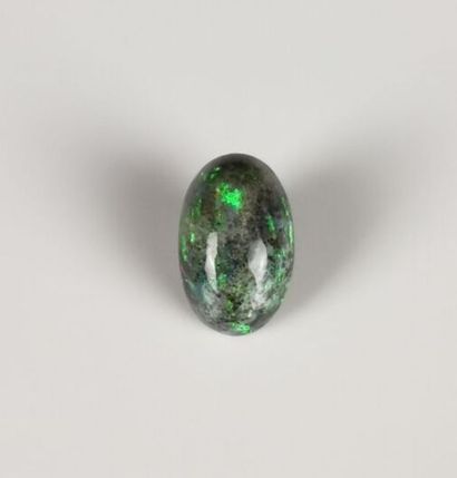  Cabochon d'opale noir d'Australie pesant environ 5.80 carats. 
L_ 1.6 cm