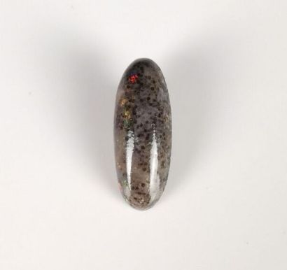  Cabochon d'opale noir d'Australie. 
L_ 2 cm