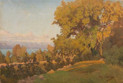 null Abel LAUVRAY (1870-1950).

Lake landscape.

Oil on canvas, signed lower right.

H_57...